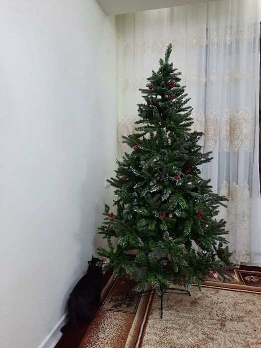 Ёлка премиум класса без снега