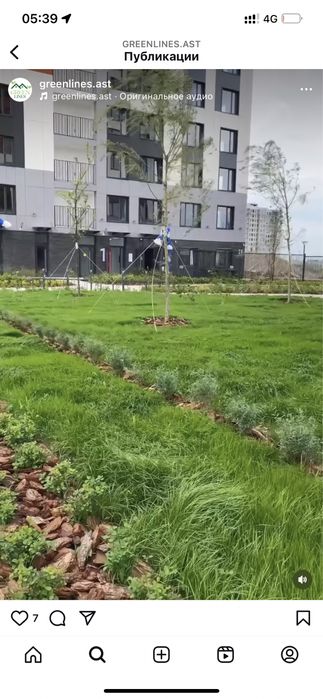 Посев газона от 1500