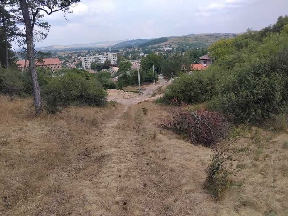 Продава се Парцел в Батановци - 4451 кв.м за 4 €/кв.м - Снимка #6