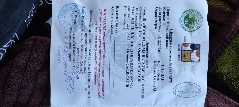 Кабель Немецкого Шпица на Вязку