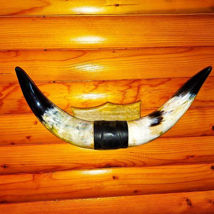 Декорация от рога на воден бивол