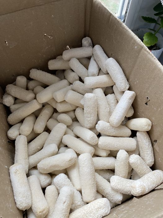 Құрт , май құрт собственного производства