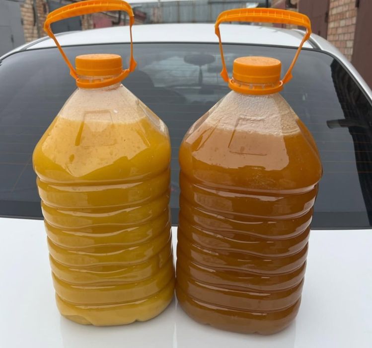 Продам мёд,разнотравие Катон Карагая.