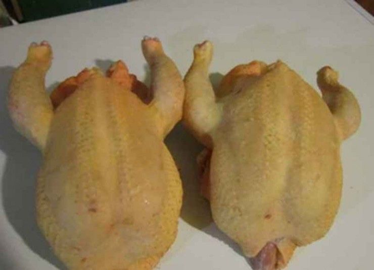 Домашние бройлеры