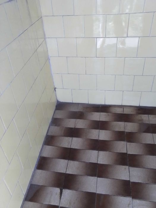 Селски имот - къща и дворно място