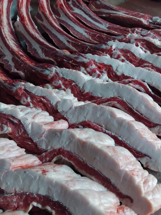 Продам мясо конина