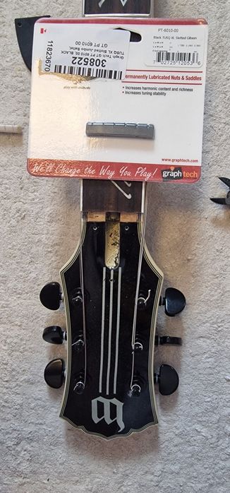 Chitara Electrica Wylde Audio Heathen Grail si Cort Evl k4