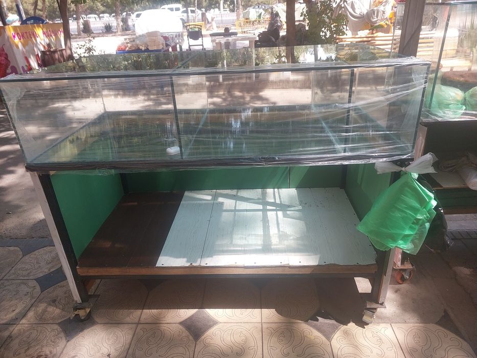 Vitrina stollar mustahkam