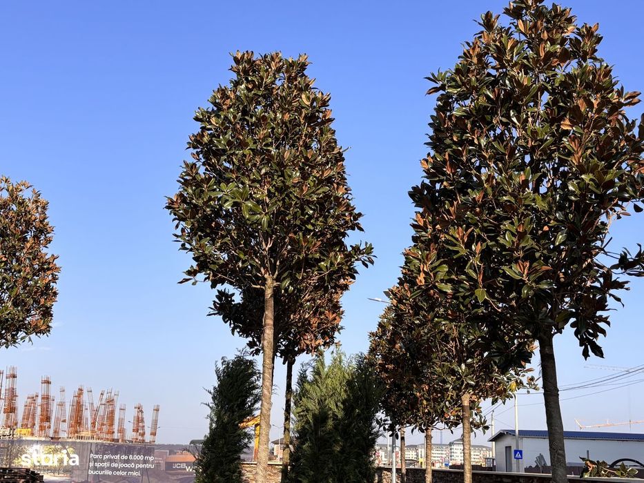 Apartament 3 camere| Ansamblu privat cu parc | Acces Militari