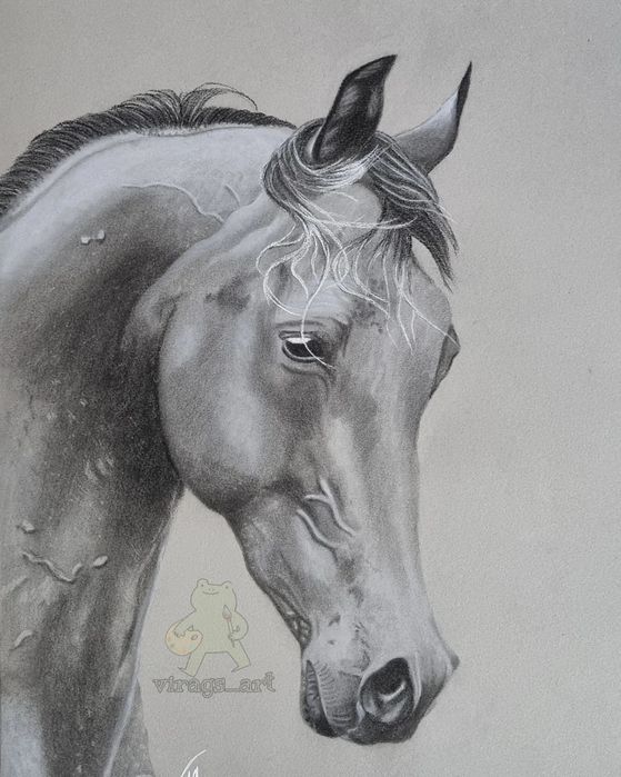 Portret animale, oameni