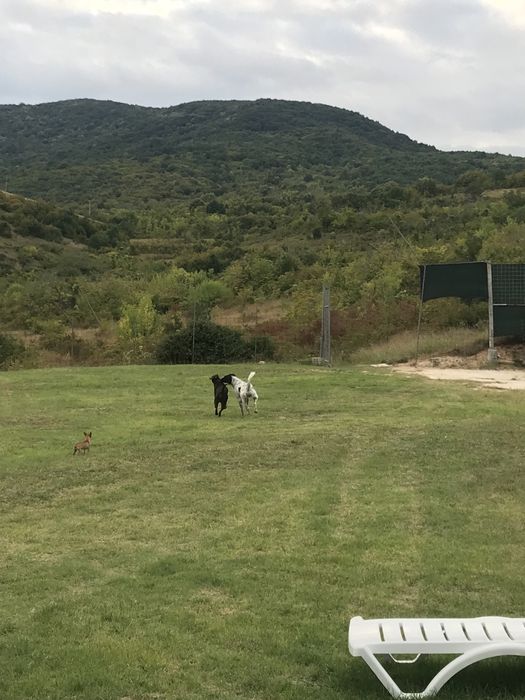 Продава се Парцел в Перущица - 2500 кв.м за 35 €/кв.м - Снимка #7