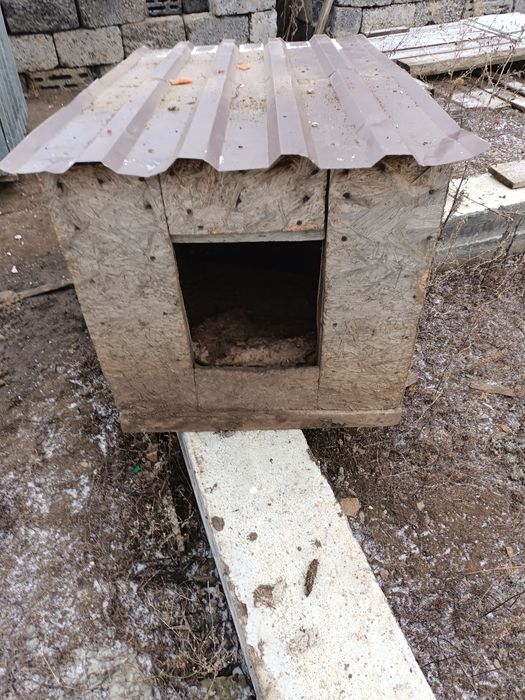 Конура для собаки