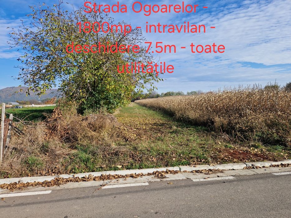 Terenuri de vânzare