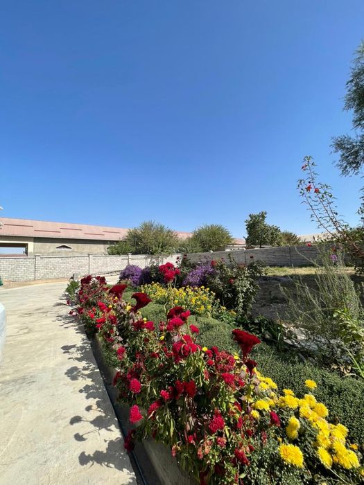 Уй сатылады.Сарыагаш