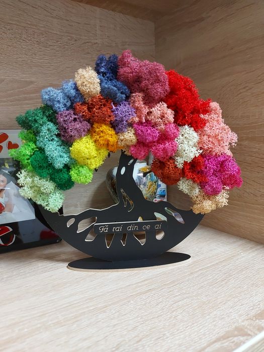 Copaci cu licheni cu suport