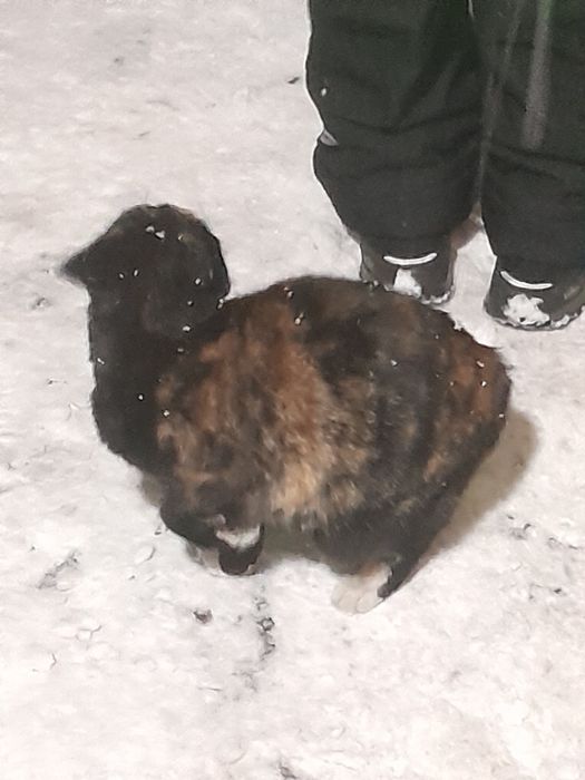 Пожалуйста срочно помогите