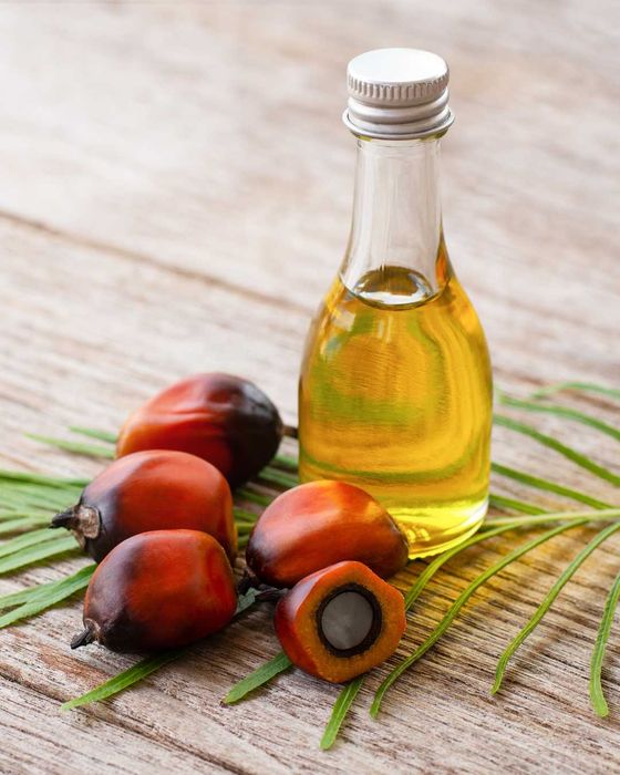 Пальмовое масло оптом наливом