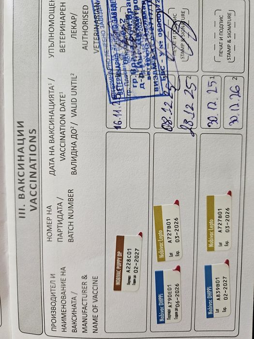 Продавам Бивер Йорк