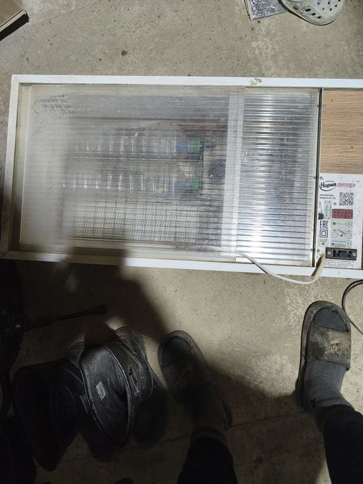 Инкубатор Норма Луппер