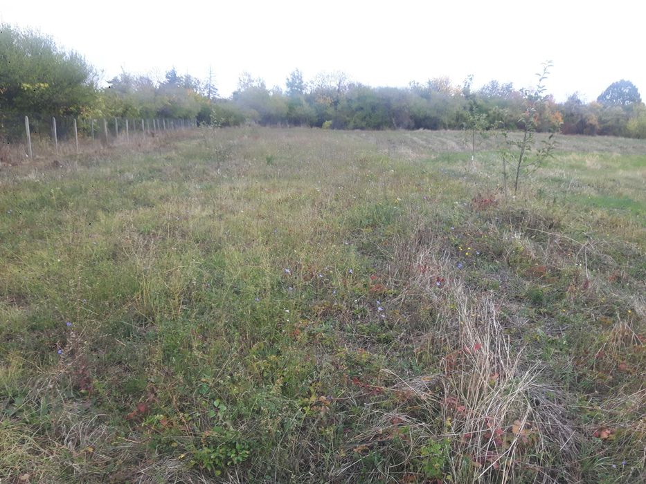 Голям парцел в 7855 Бракница