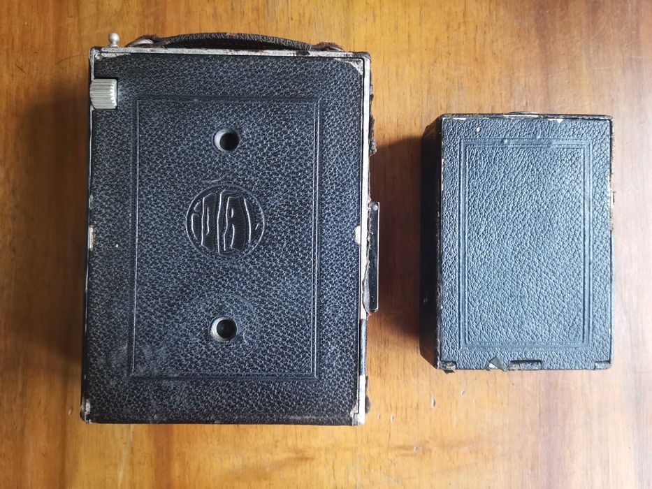 Aparate foto cu burduf - cadoul perfect pentru cei dragi