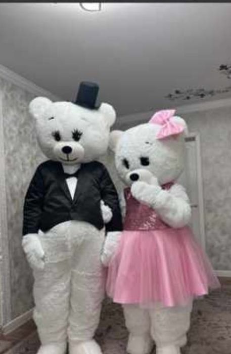 Аниматоры По низкой цене 5000