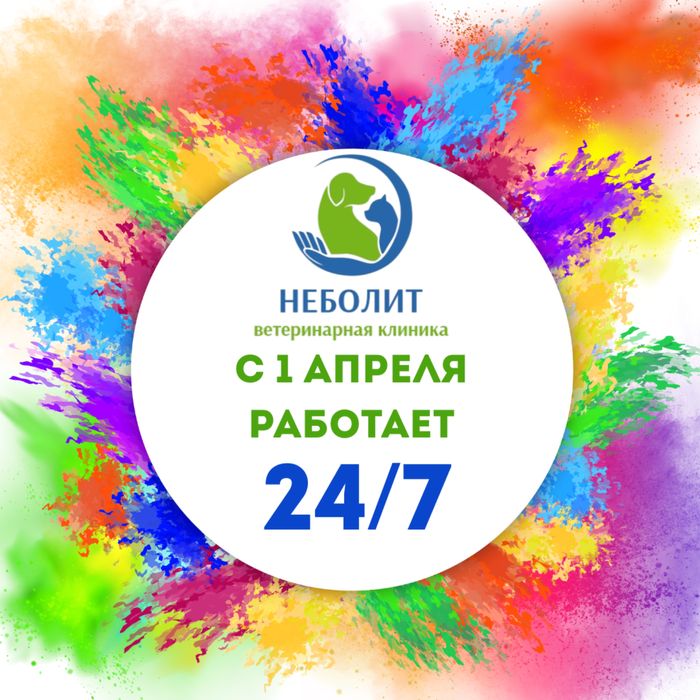 Ветеринарный врач .