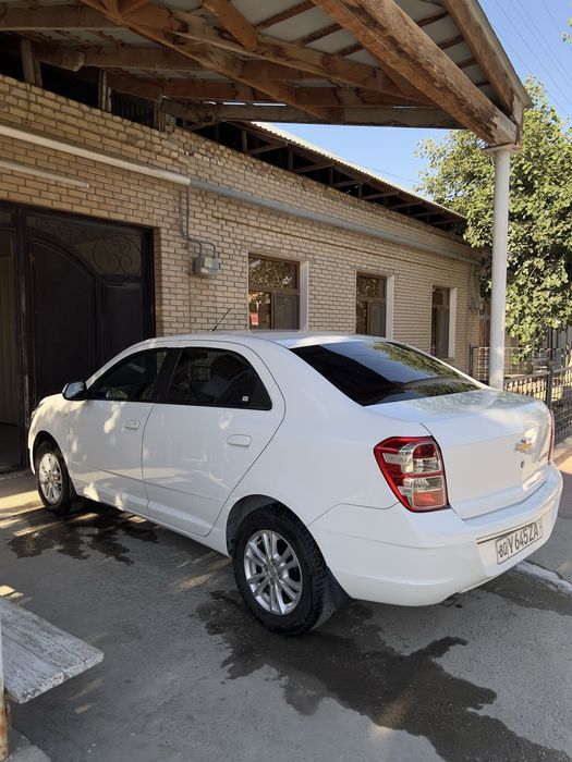 2024 автомат радной краска