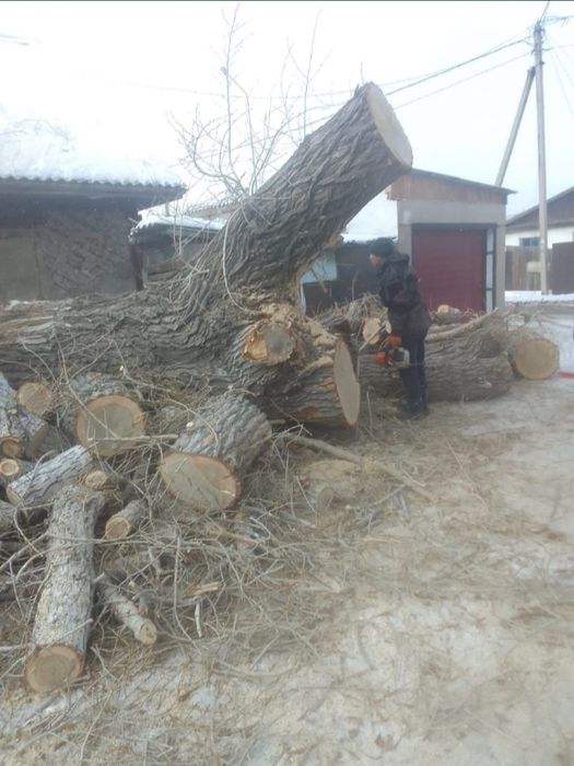 Спил деревьев, кронирование.