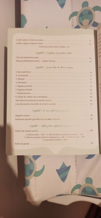 Jurnal de sarcina Ligia Pop