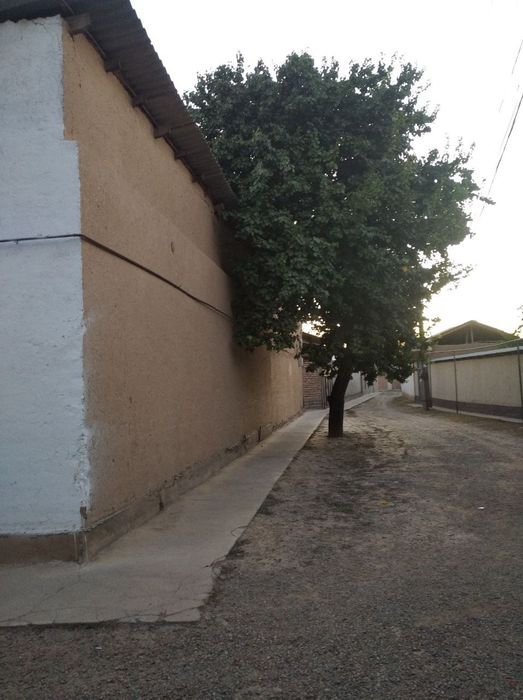 Uchastka sotiladi yer narxida Bek baraka bozori orqasida 100-150 metr