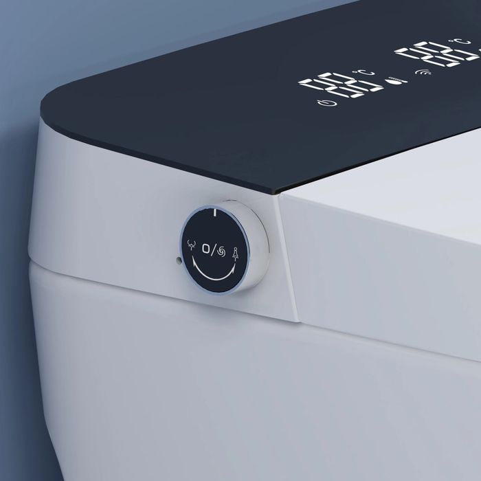 Smart унитаз У нас есть 7 вариантов умных туалетов, звоните.