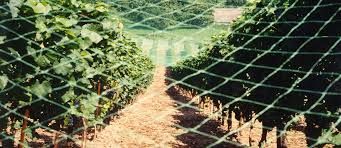 PLASA ANTI-PASARI, 2x100ml=243lei;3x100ml=334lei; 8x200ml=1390lei;