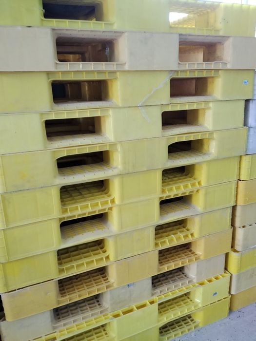 Paddon sotiladi 200 000 somdan