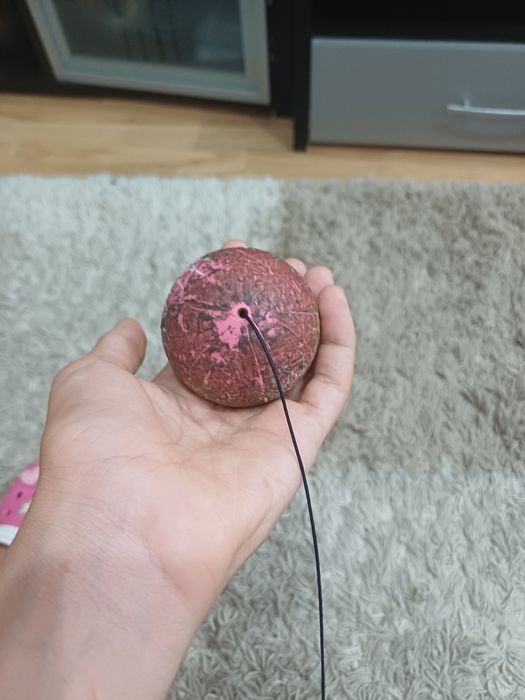 tama zackie pro mod