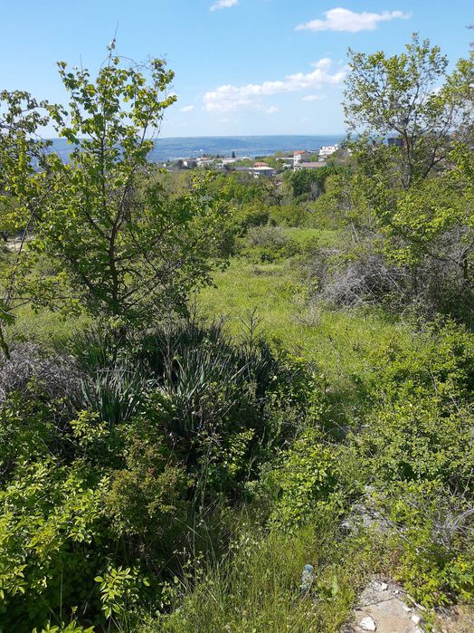 Продава се Парцел в Варна, Базар Левски - 2107 кв.м за 99 €/кв.м - Снимка #6