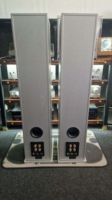 Boxe Canton 507 Chrono DC bi-wiring