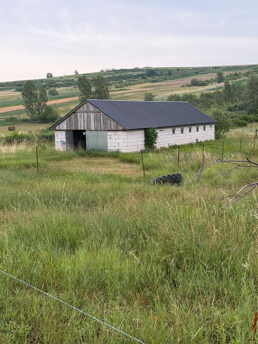Vand teren intravilan in crasna marin jud salaj