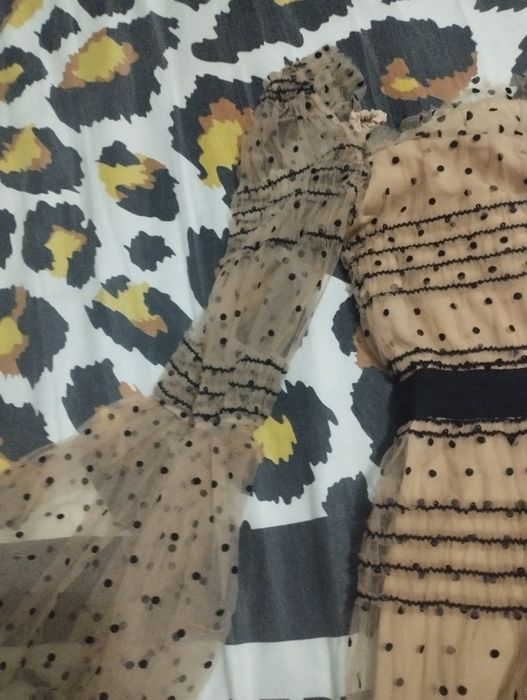 Ayollar koylagi.
