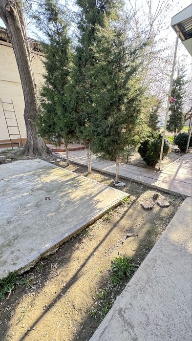 Срочно Сотилади !!! 3 хонали уй йул юзида