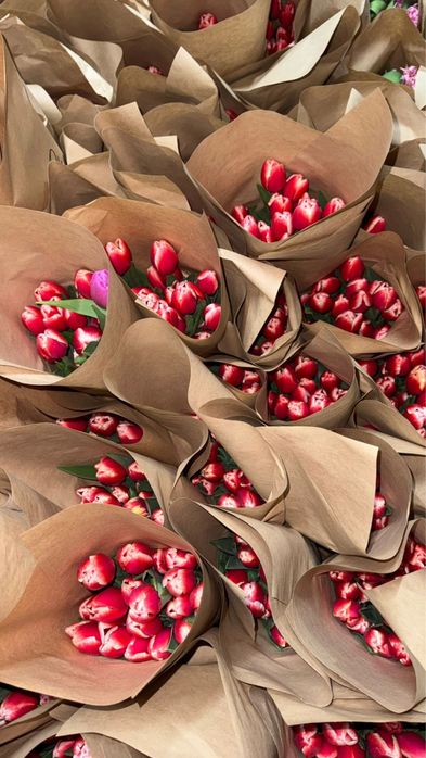 Тюльпан оптом/розница (Принимаем предзаказы на тюльпаны)