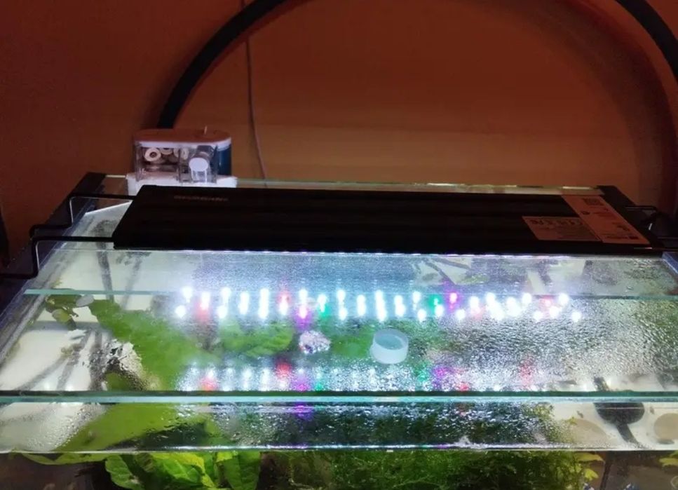 Специализирани аквариумни лампи и корени от азалия