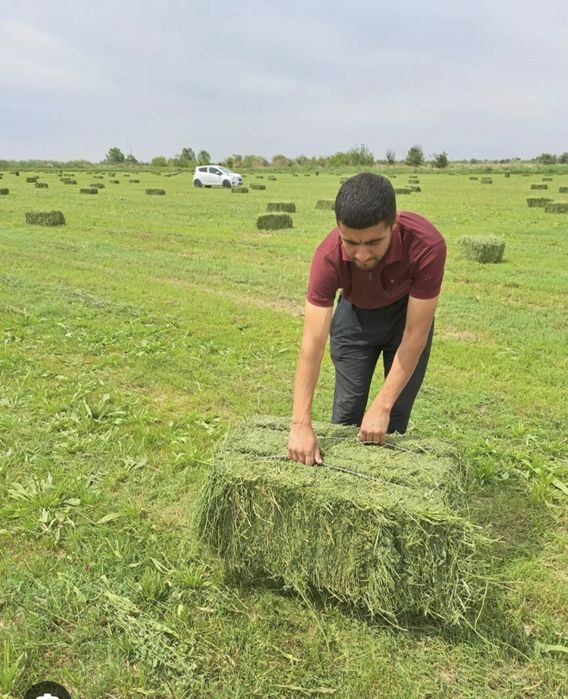 Beda press kimga kerak bo'lsa marhamat