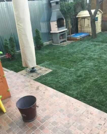 Gazon Rulou Sport premium