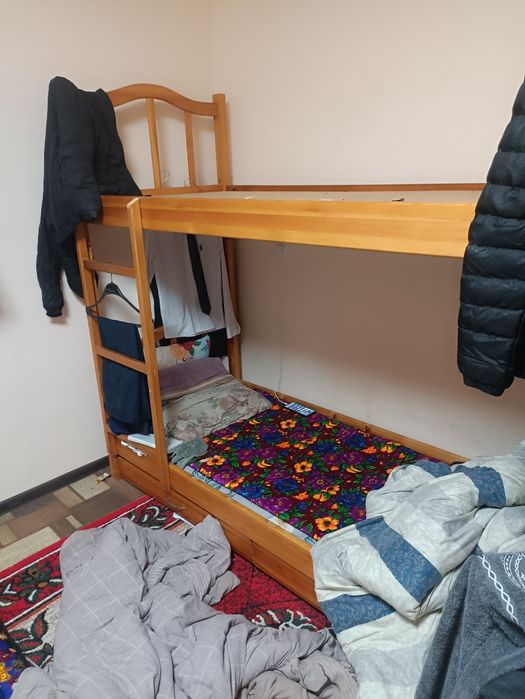 Studentlarni ijaraga qoʻyamiz