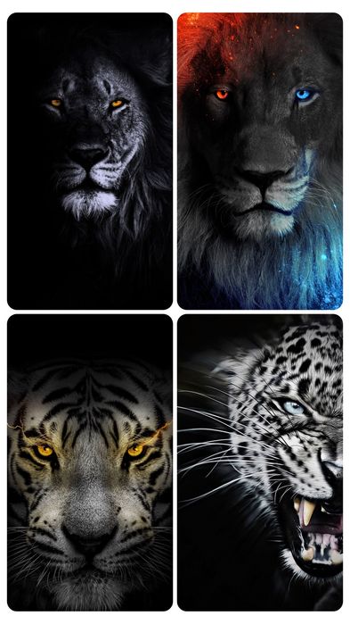 Стикери за колонки