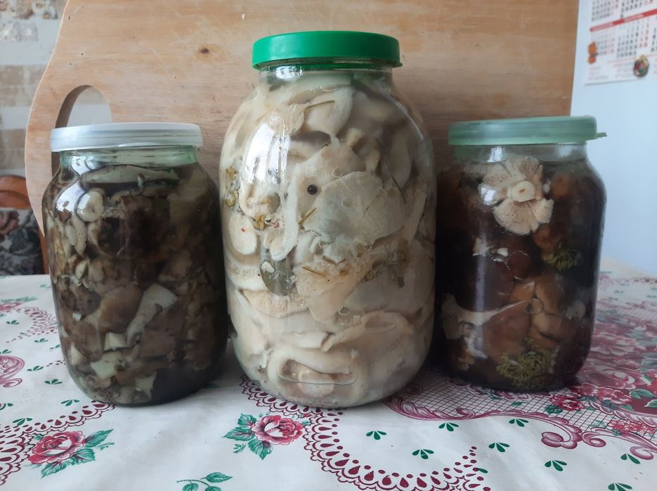 Грузди и валуи  солёные 3000тза 1литр банки  возврат.