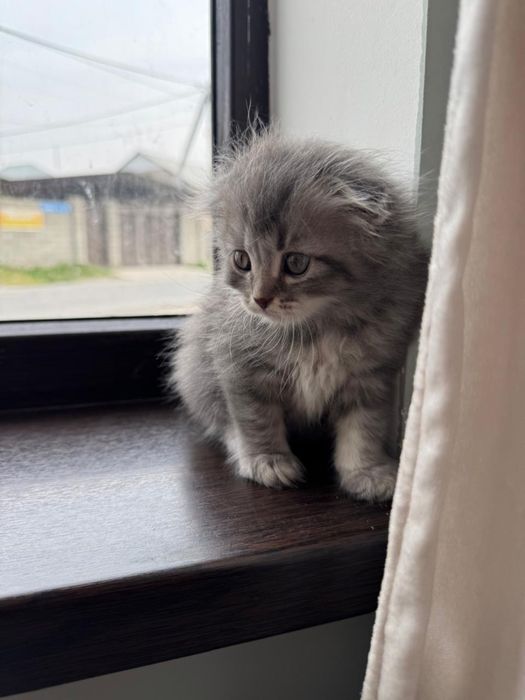 Идеальный подарок, который умеет любить