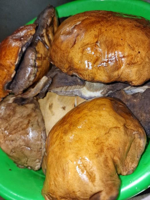 Грибы помытые, нарезанные