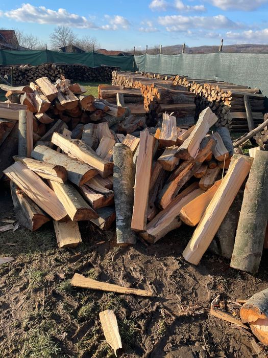 Lemne de foc de cea mai bună calitate
